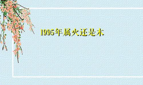 1995年属火还是木