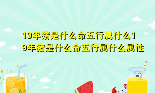 19年猪是什么命五行属什么19年猪是什么命五行属什么属性