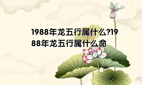 1988年龙五行属什么?1988年龙五行属什么命