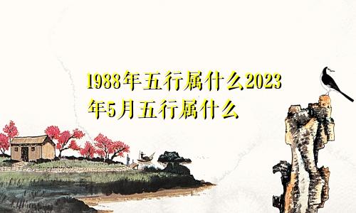 1988年五行属什么2023年5月五行属什么