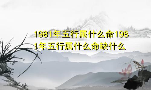 1981年五行属什么命1981年五行属什么命缺什么