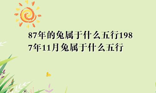 87年的兔属于什么五行1987年11月兔属于什么五行