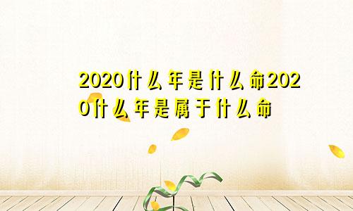 2020什么年是什么命2020什么年是属于什么命