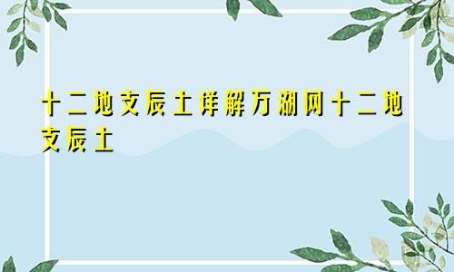 十二地支辰土详解万湖网十二地支辰土