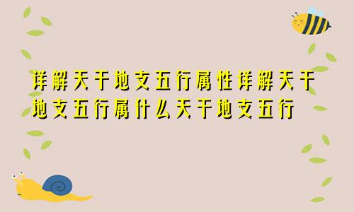 详解天干地支五行属性详解天干地支五行属什么天干地支五行