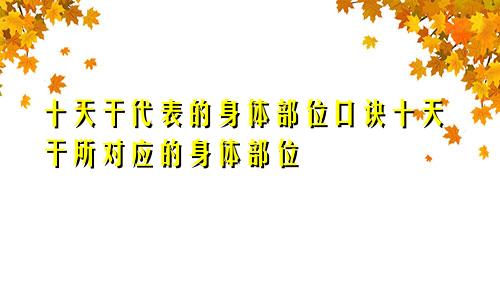 十天干代表的身体部位口诀十天干所对应的身体部位