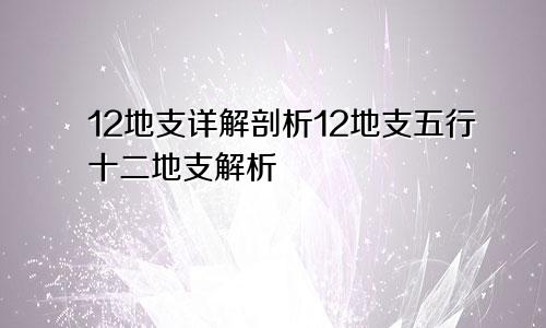 12地支详解剖析12地支五行十二地支解析