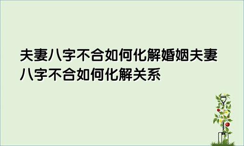 夫妻八字不合如何化解婚姻夫妻八字不合如何化解关系