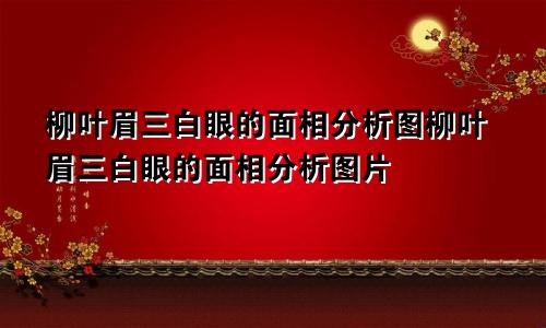 柳叶眉三白眼的面相分析图柳叶眉三白眼的面相分析图片