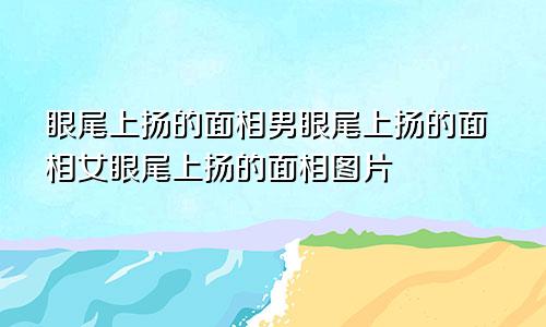 眼尾上扬的面相男眼尾上扬的面相女眼尾上扬的面相图片