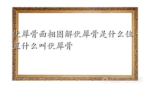 伏犀骨面相图解伏犀骨是什么位置什么叫伏犀骨