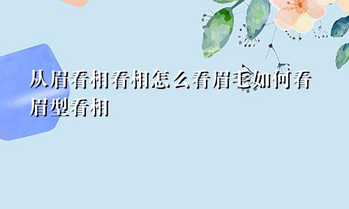 从眉看相看相怎么看眉毛如何看眉型看相