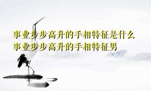 事业步步高升的手相特征是什么事业步步高升的手相特征男