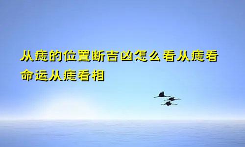 从痣的位置断吉凶怎么看从痣看命运从痣看相