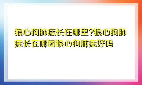 狼心狗肺痣长在哪里?狼心狗肺痣长在哪图狼心狗肺痣好吗