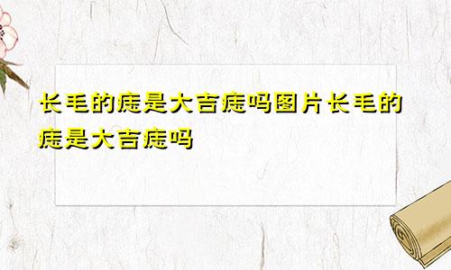 长毛的痣是大吉痣吗图片长毛的痣是大吉痣吗