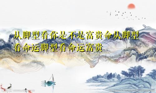 从脚型看你是不是富贵命从脚型看命运脚型看命运富贵