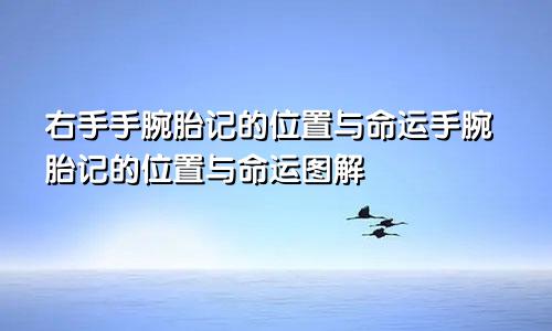 右手手腕胎记的位置与命运手腕胎记的位置与命运图解