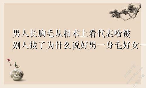 男人长胸毛从相术上看代表啥被别人拔了为什么说好男一身毛好女一身膘