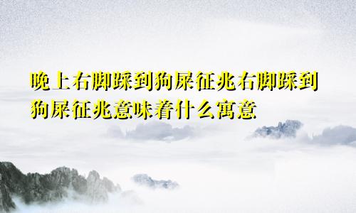 晚上右脚踩到狗屎征兆右脚踩到狗屎征兆意味着什么寓意