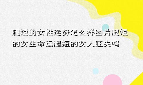 腿短的女性运势怎么样图片腿短的女生命运腿短的女人旺夫吗