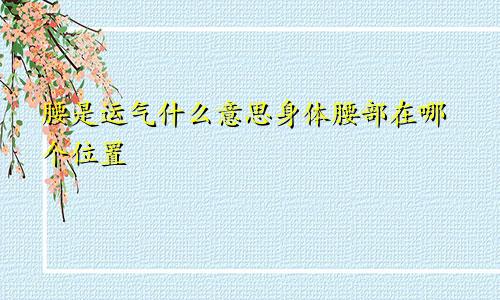 腰是运气什么意思身体腰部在哪个位置