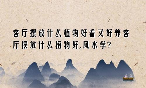 客厅摆放什么植物好看又好养客厅摆放什么植物好,风水学?