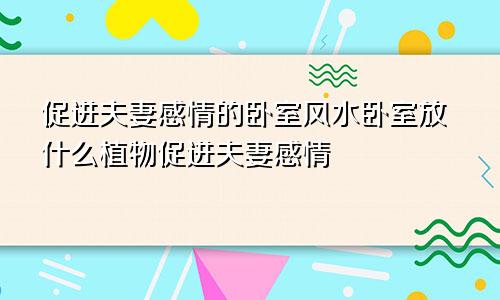 促进夫妻感情的卧室风水卧室放什么植物促进夫妻感情