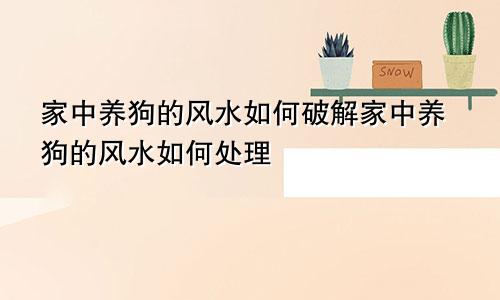 家中养狗的风水如何破解家中养狗的风水如何处理