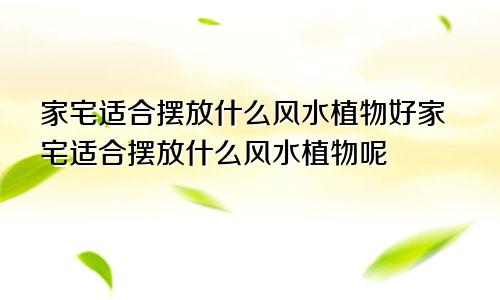 家宅适合摆放什么风水植物好家宅适合摆放什么风水植物呢