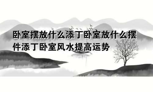 卧室摆放什么添丁卧室放什么摆件添丁卧室风水提高运势