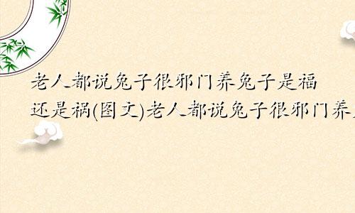 老人都说兔子很邪门养兔子是福还是祸(图文)老人都说兔子很邪门养兔子是福还是祸