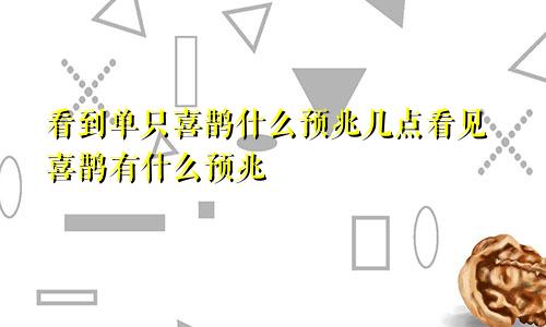 看到单只喜鹊什么预兆几点看见喜鹊有什么预兆