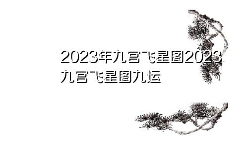 2023年九宫飞星图2023九宫飞星图九运