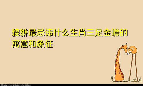 貔貅最忌讳什么生肖三足金蟾的寓意和象征