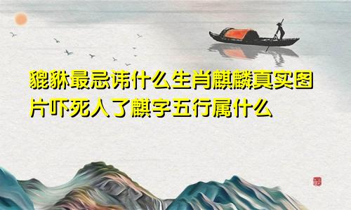 貔貅最忌讳什么生肖麒麟真实图片吓死人了麒字五行属什么