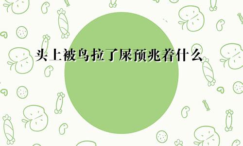 头上被鸟拉了屎预兆着什么