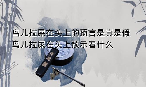 鸟儿拉屎在头上的预言是真是假鸟儿拉屎在头上预示着什么