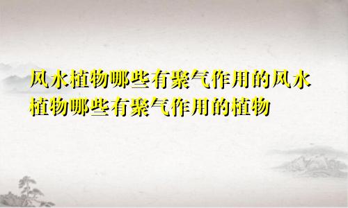 风水植物哪些有聚气作用的风水植物哪些有聚气作用的植物