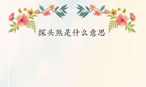 探头煞是什么意思