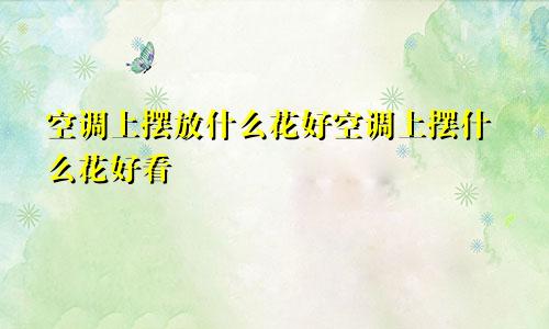 空调上摆放什么花好空调上摆什么花好看