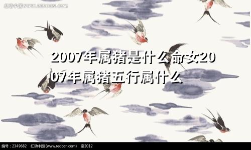 2007年属猪是什么命女2007年属猪五行属什么