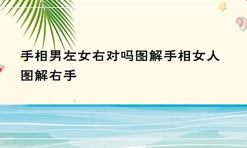 手相男左女右对吗图解手相女人图解右手