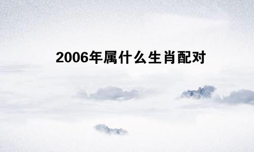 2006年属什么生肖配对