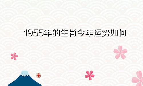 1955年的生肖今年运势如何