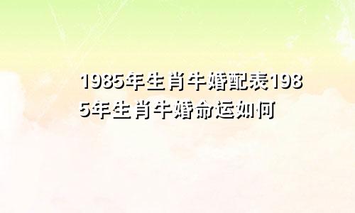 1985年生肖牛婚配表1985年生肖牛婚命运如何