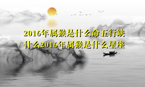 2016年属猴是什么命五行缺什么2016年属猴是什么星座