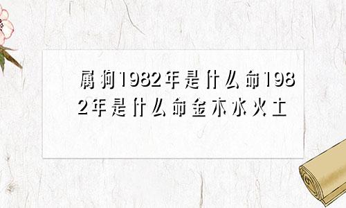 属狗1982年是什么命1982年是什么命金木水火土