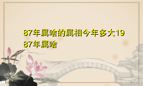 87年属啥的属相今年多大1987年属啥