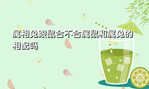 属相兔跟鼠合不合属鼠和属兔的相配吗